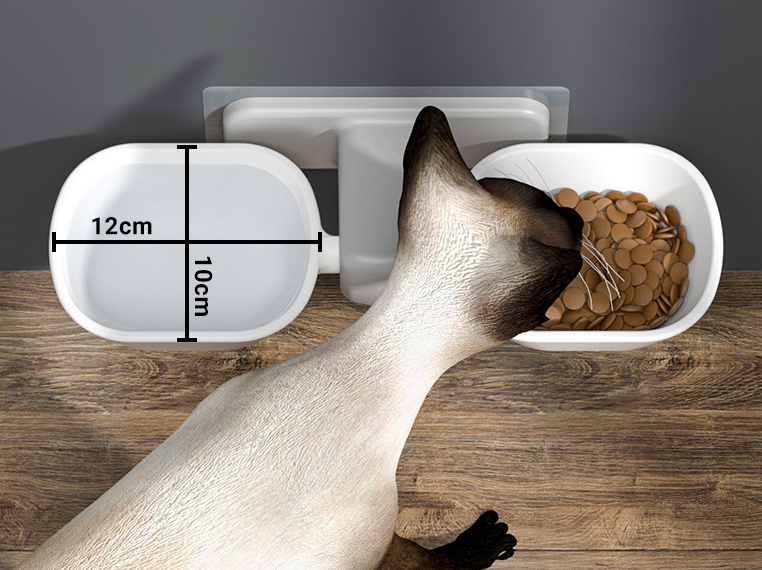 Wall-Mounted Cat Bowl Holder with Dual Bowls and Water Dish