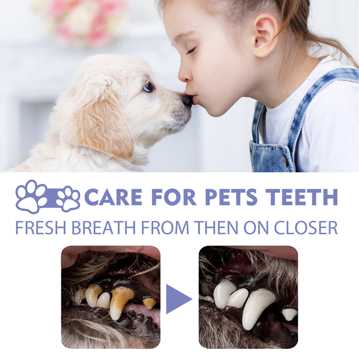 Pet Oral Cleaning Spray for Dogs and Cats